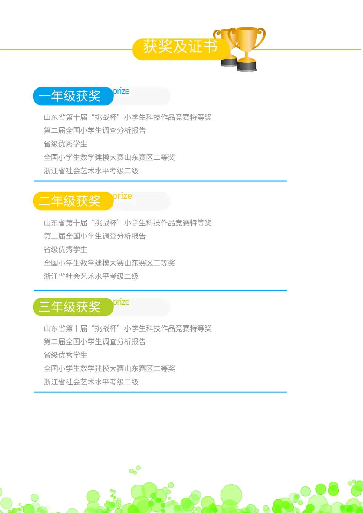 2026北京市朝阳区第一实验小学小升初简历 1第4页预览
