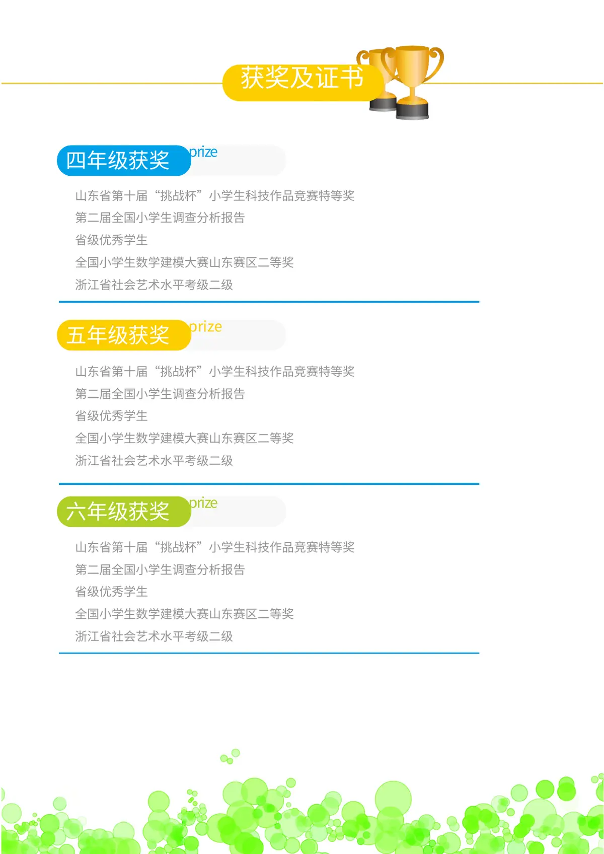 2026北京市朝阳区第一实验小学小升初简历 1第5页预览