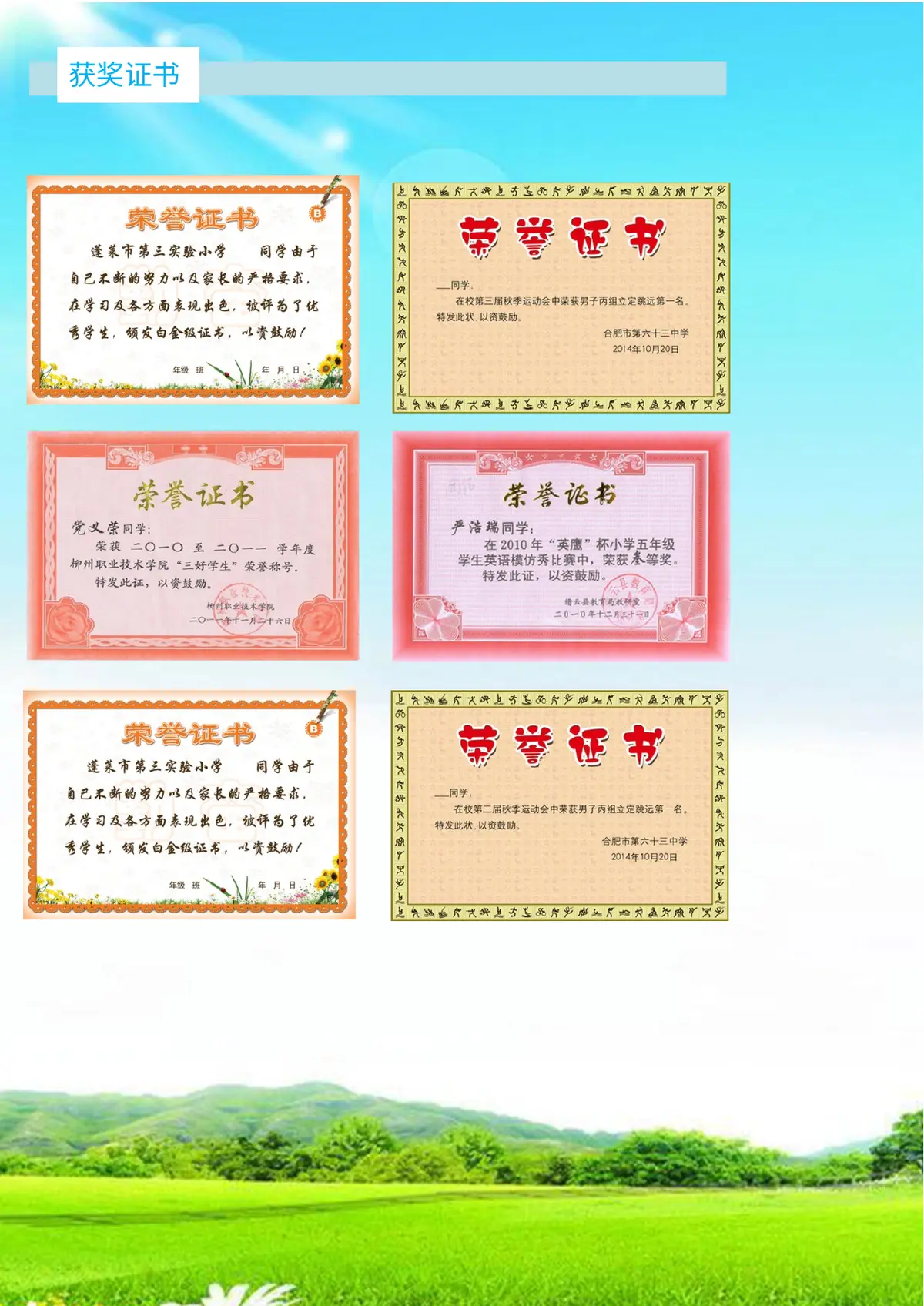 2026中国美术学院小升初简历 5 2第5页预览