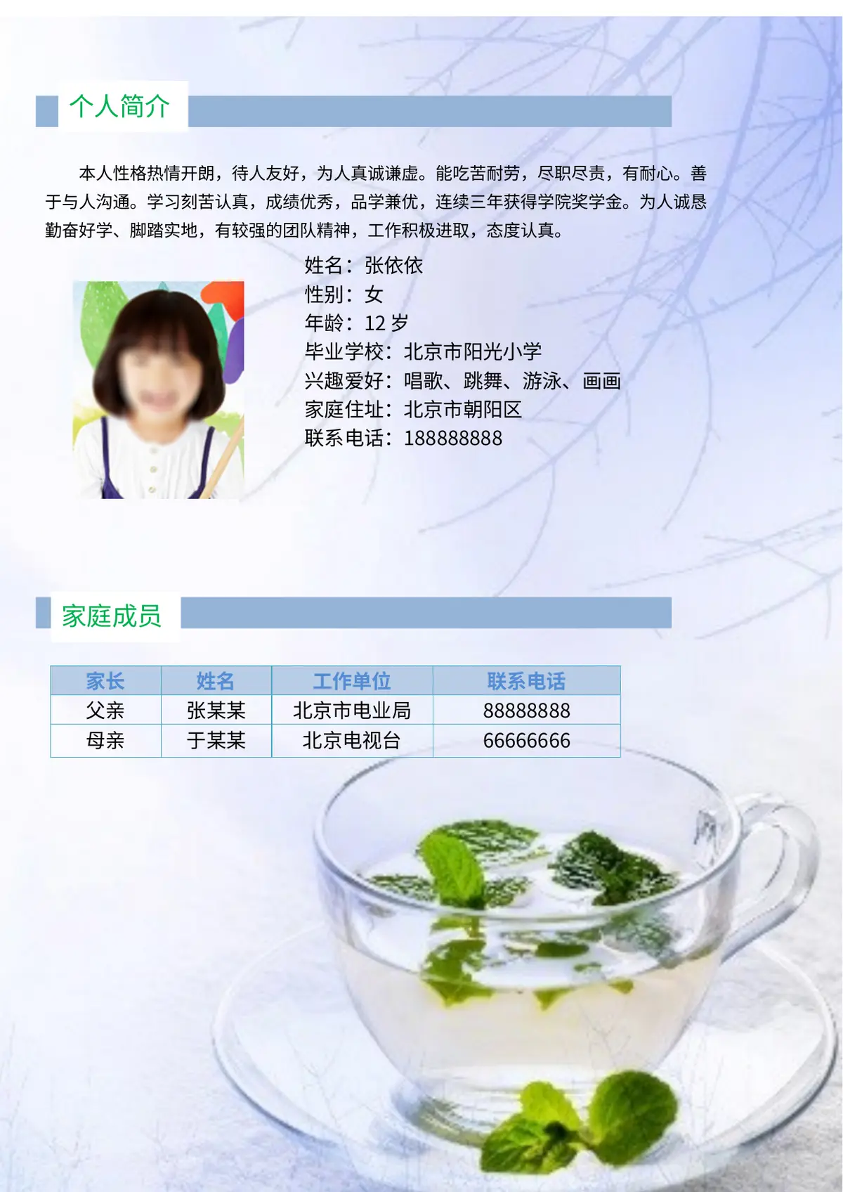 2026中国美术学院小升初简历 12第2页预览