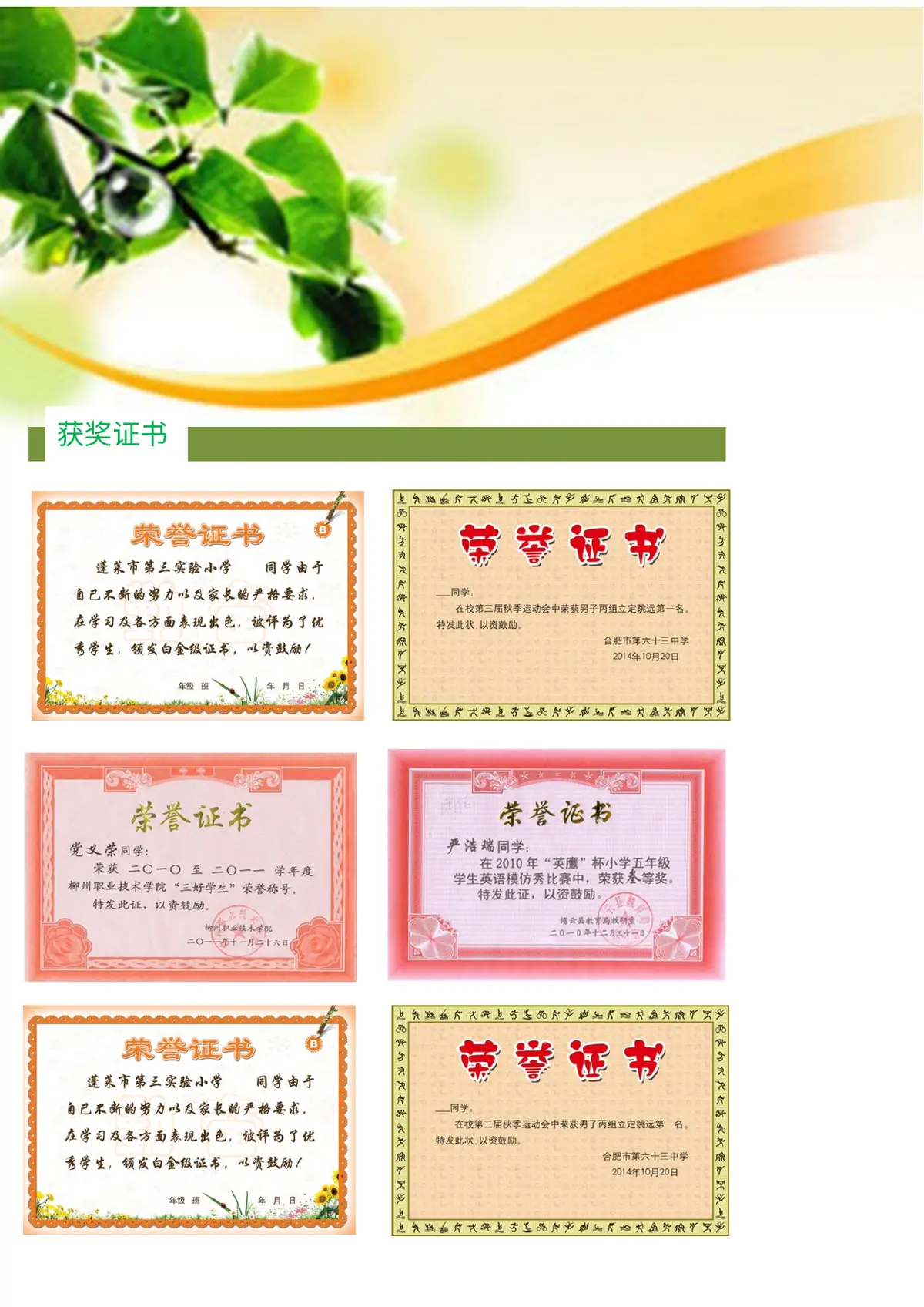 2026中国美术学院小升初简历 18第5页预览