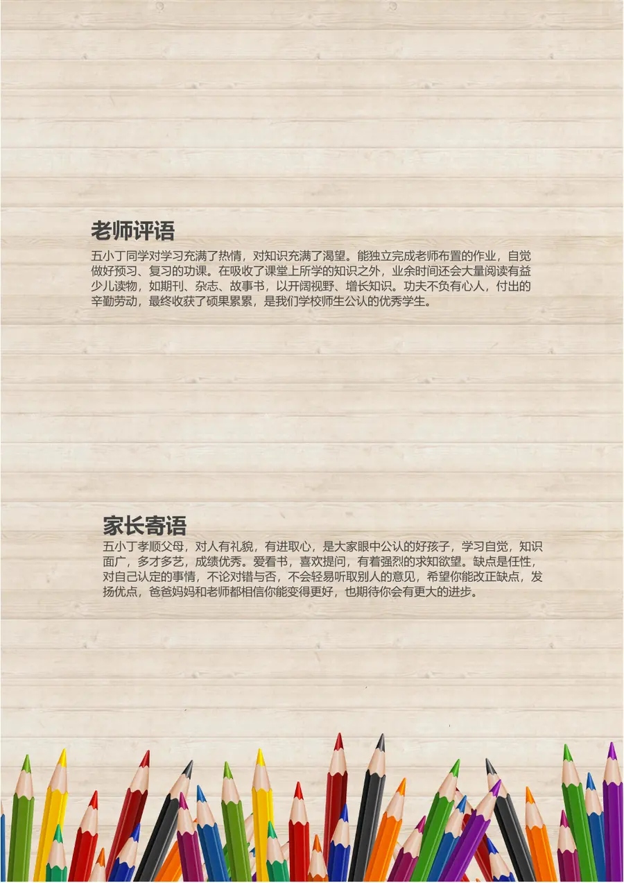 2026精英启航小升初简历模板第7页预览