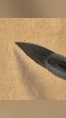 南