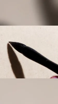 沈