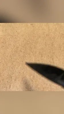 生