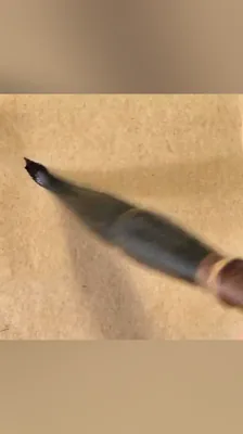 殊