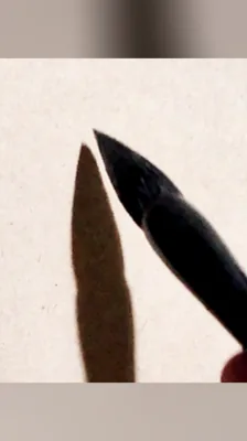 書｜书