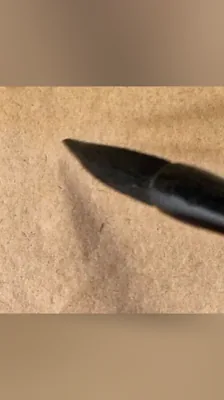 体