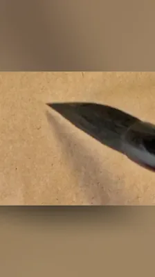 欣