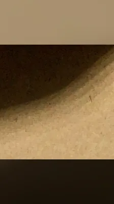 也