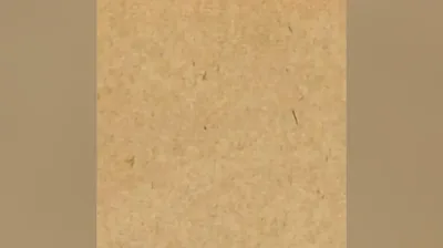 也无风雨也无晴