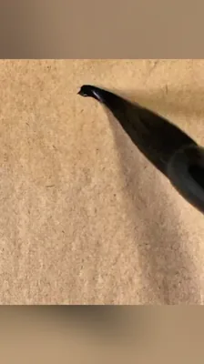 衣