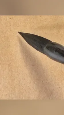 义