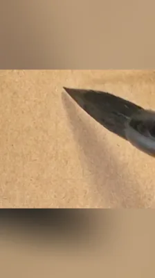 鱼