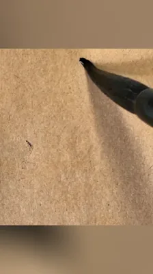 爱
