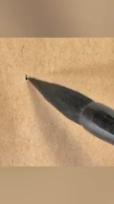 报