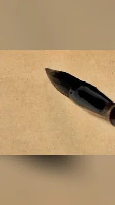 宠