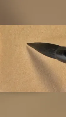 道