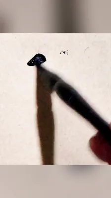 讀｜读