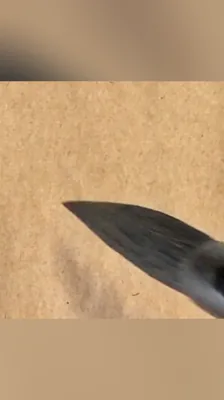 婀