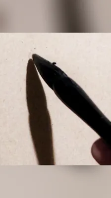 敢