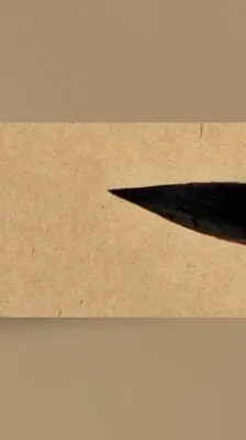 光2