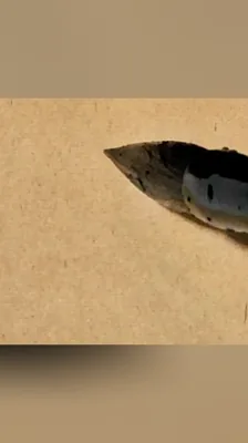 和