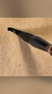 鸿