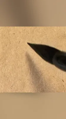 会