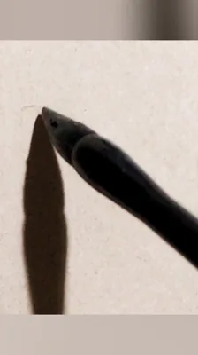 谨