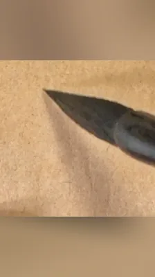 类