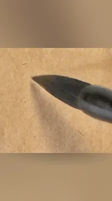 领